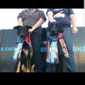 Meet your Posher, Renee